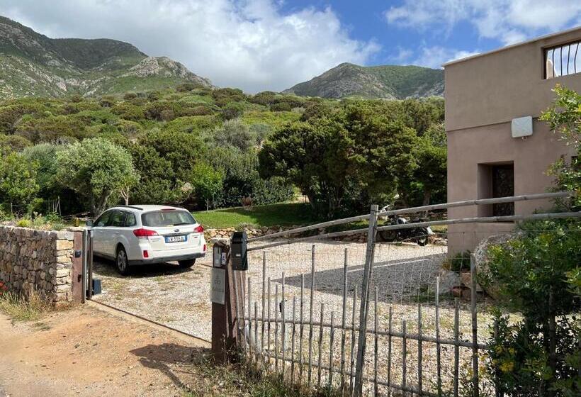 مبيت وإفطار Alelca Domo