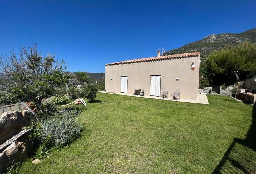 مبيت وإفطار Alelca Domo