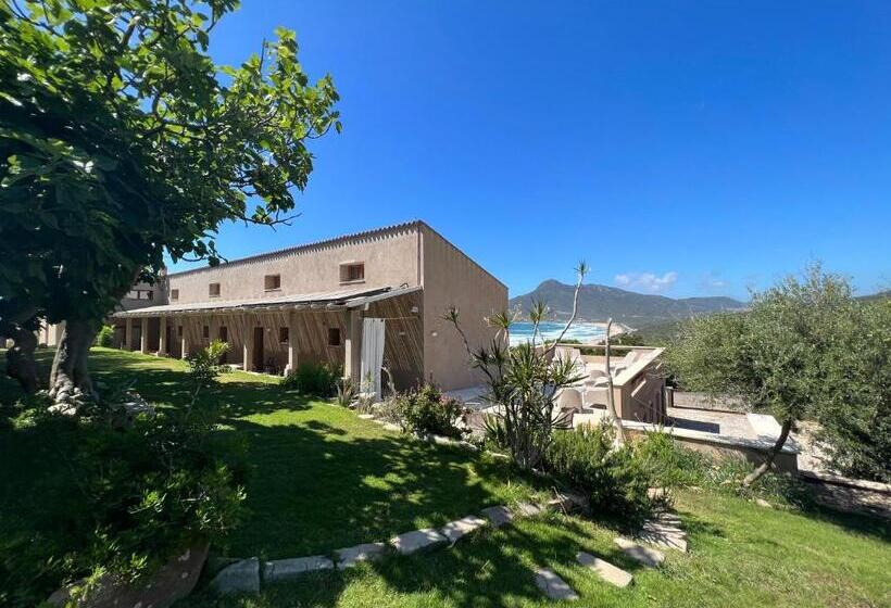 مبيت وإفطار Alelca Domo