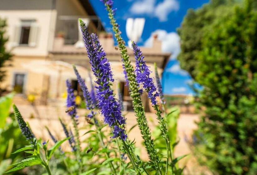 酒店 Villa Campomaggio Resort & Spa