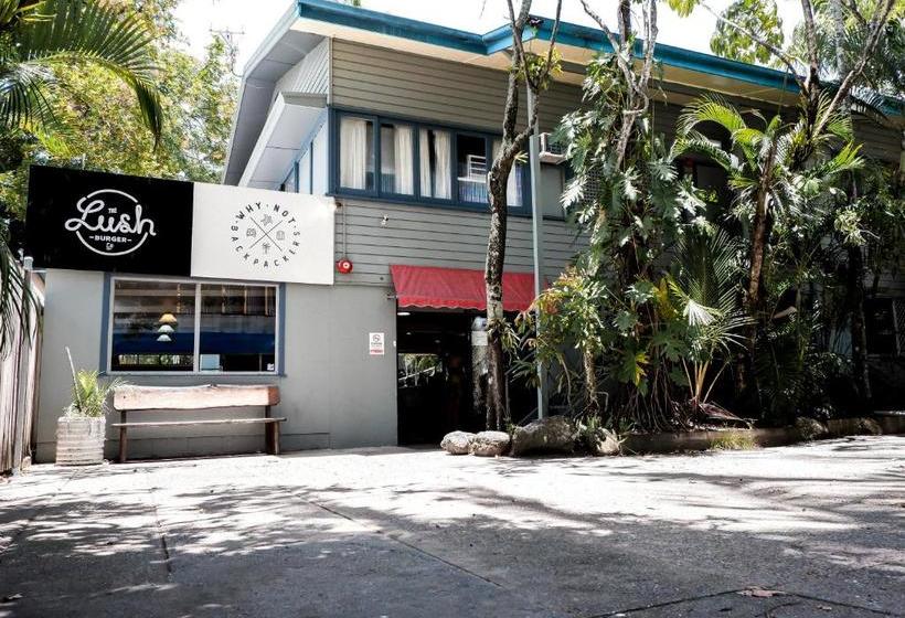 هتل Why Not Backpackers