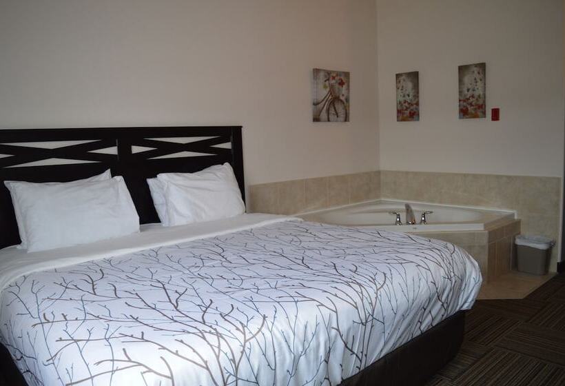 旅馆 Auberge Macdonald Guest Inn