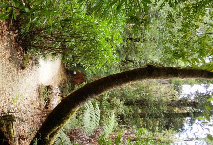 فندق صغير Tahune Airwalk Cabin And Lodge