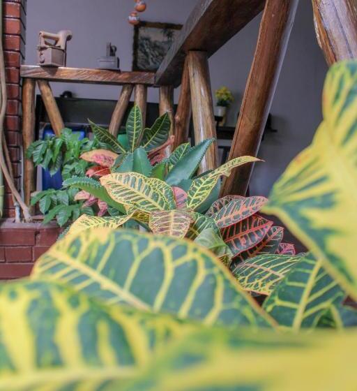 هتل Colonial San Felipe