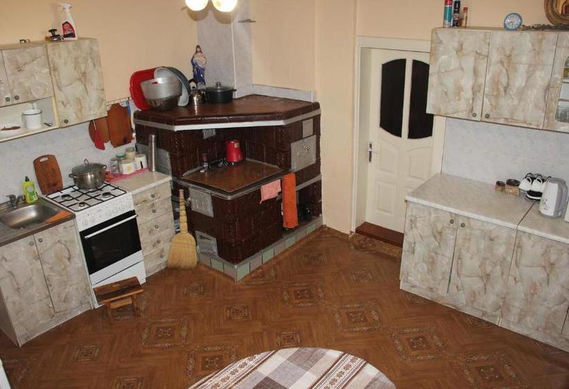 Pension (Hôtel basse catégorie) у михайла під лісом