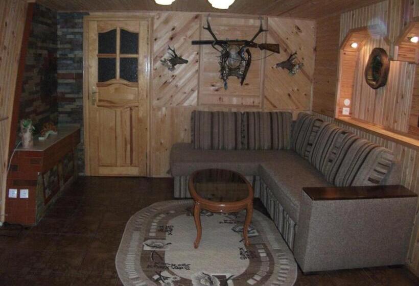 بنسيون Karpatskyi Gomin