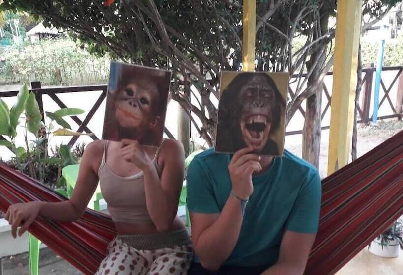 پانسیون La Casa Mono Cuco Hostel