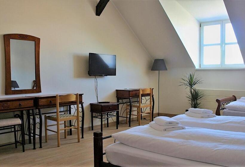 پانسیون Penzion Královské Lázně