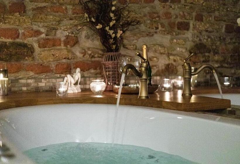 پانسیون Penzion Královské Lázně