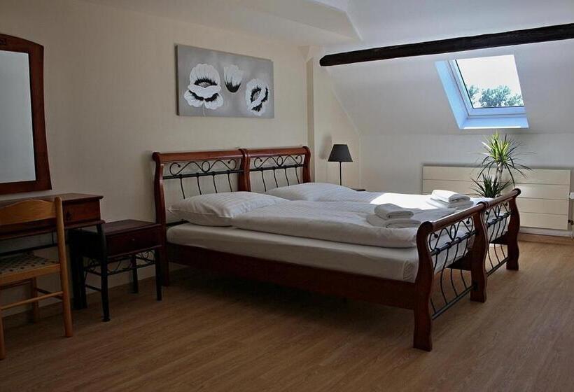 پانسیون Penzion Královské Lázně