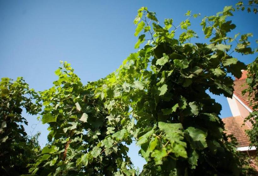 ペンション Polychko Winehouse