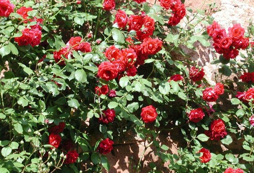 בית מלון כפרי La Roumec