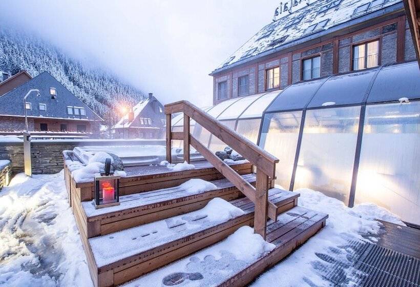 호텔 Mim Baqueira Luxury & Spa