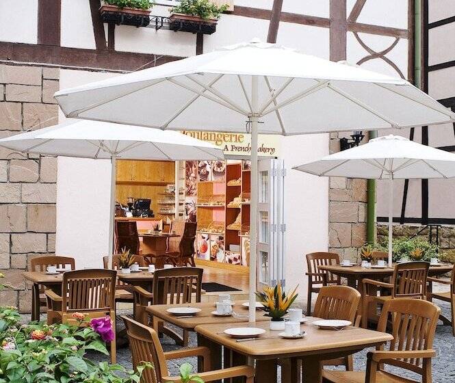 ホテル Colmar Tropicale