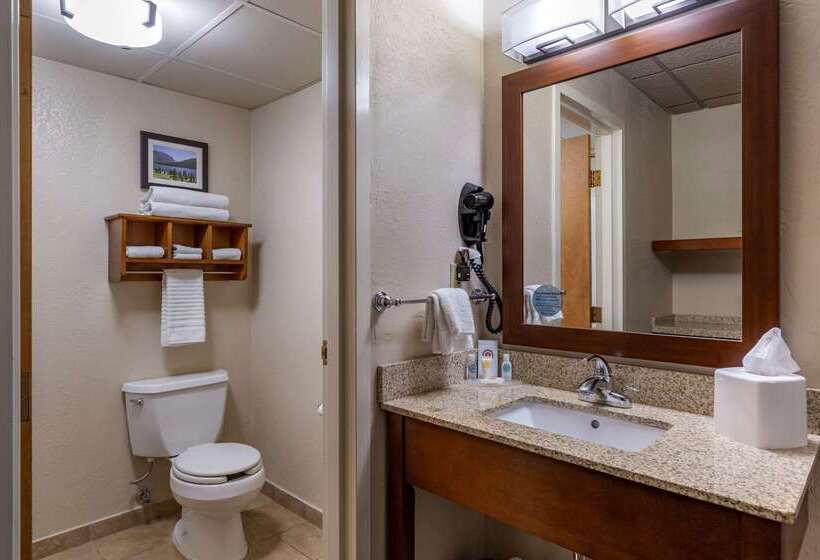 בית מלון כפרי Comfort Inn Butte City Center I 15   I 90