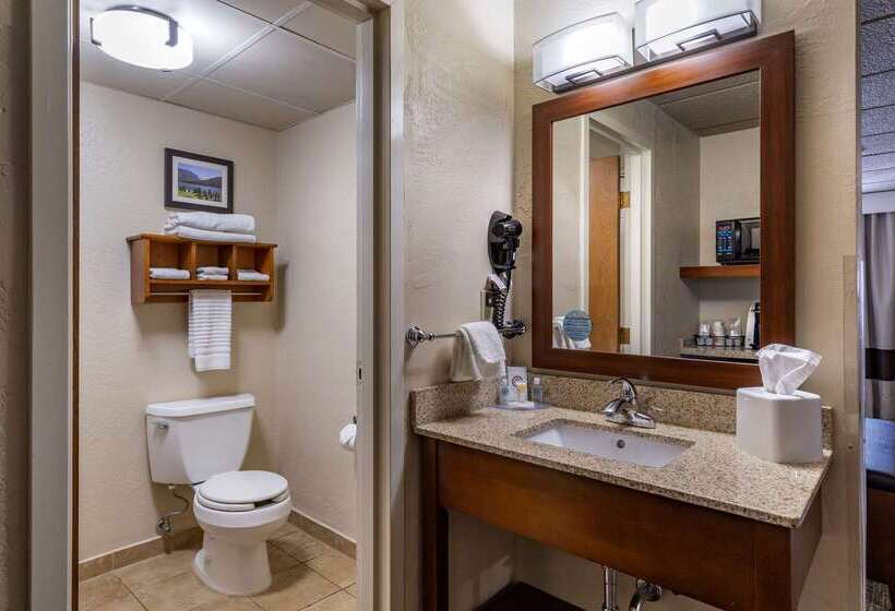 בית מלון כפרי Comfort Inn Butte City Center I 15   I 90