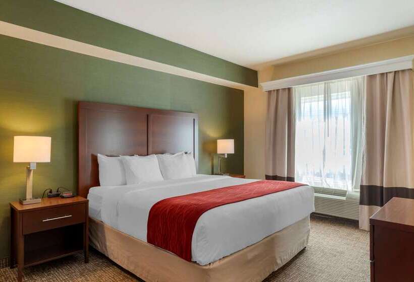 فندق Comfort Inn & Suites Salem