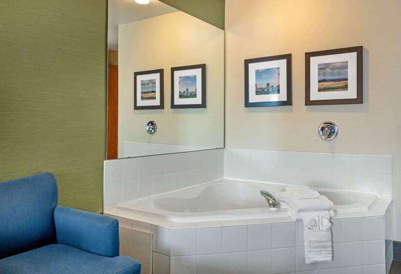 فندق Comfort Inn & Suites Salem
