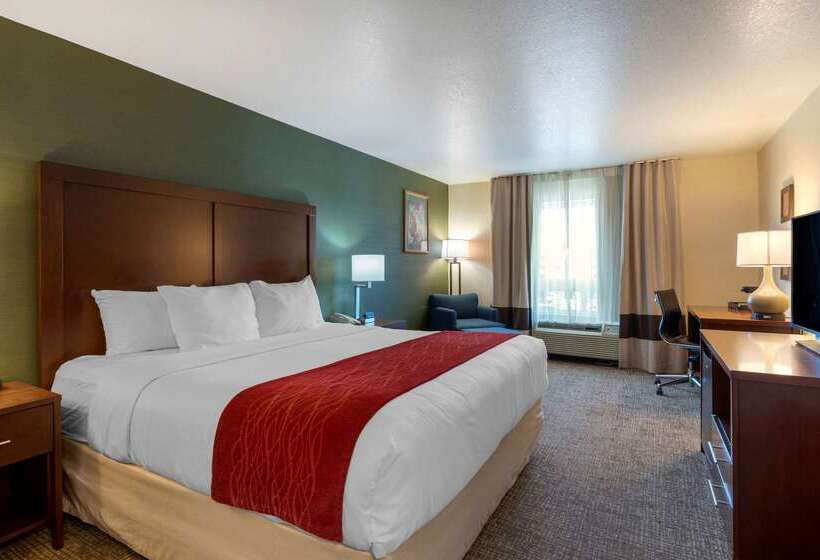 בית מלון כפרי Comfort Inn & Suites Salem