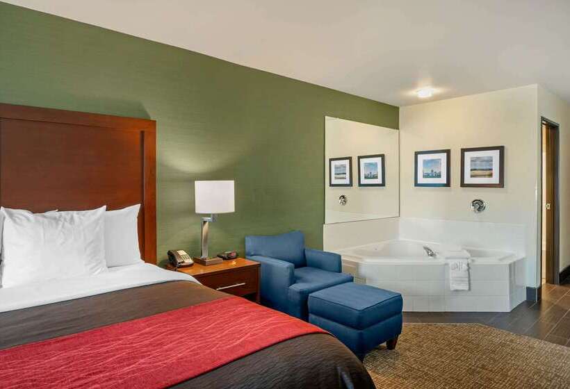 בית מלון כפרי Comfort Inn & Suites Salem