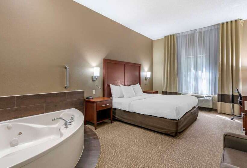 酒店 Comfort Inn & Suites St. Louiso Fallon