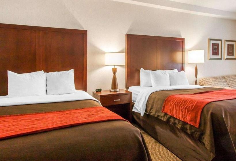 호텔 Comfort Inn & Suitesportland Airport