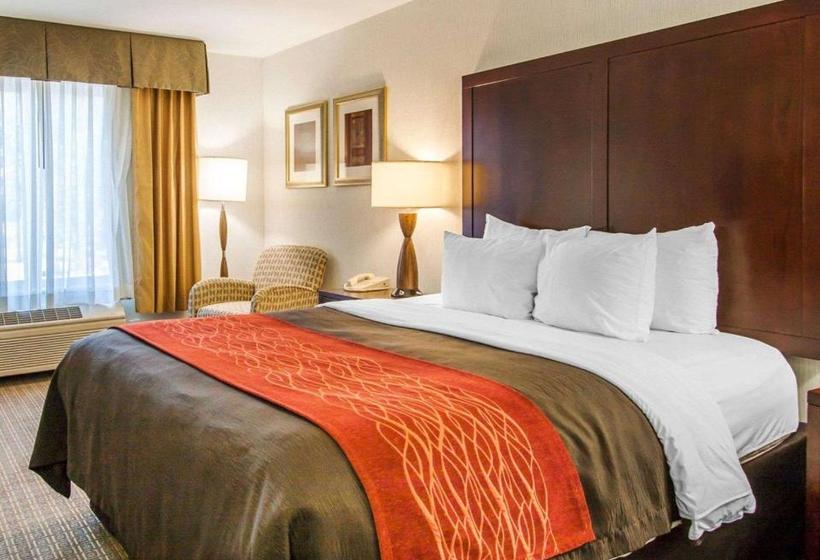 호텔 Comfort Inn & Suitesportland Airport