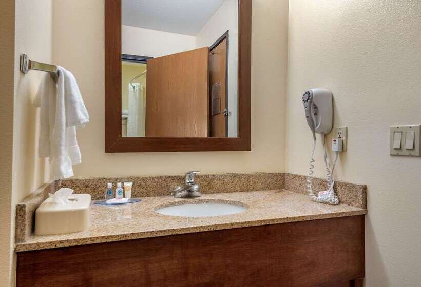 酒店 Comfort Inn Warren I 69