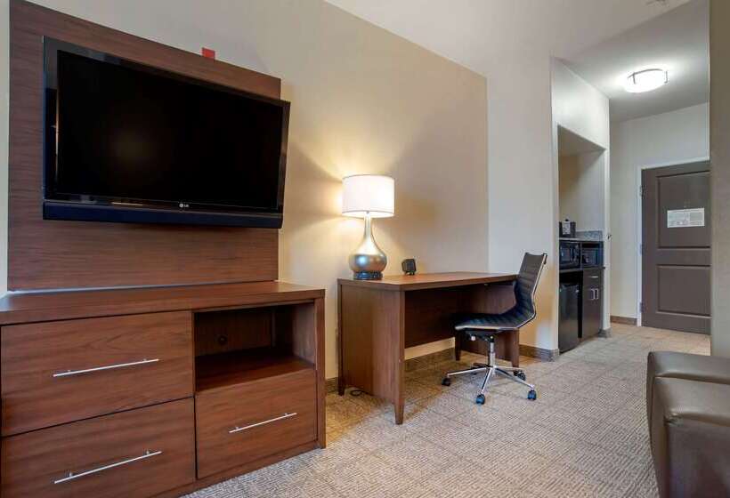 Hotel Comfort Suites