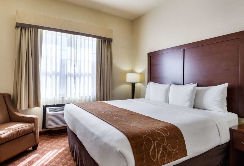 בית מלון כפרי Comfort Suites Near Nasa  Clear Lake