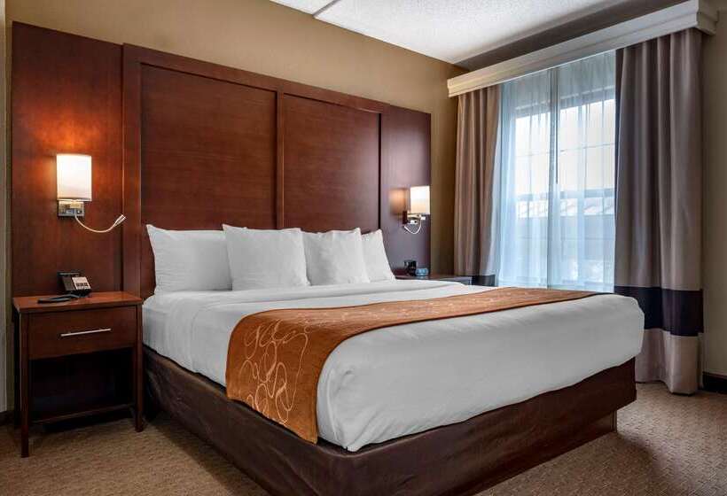 酒店 Comfort Suites Near Penn State