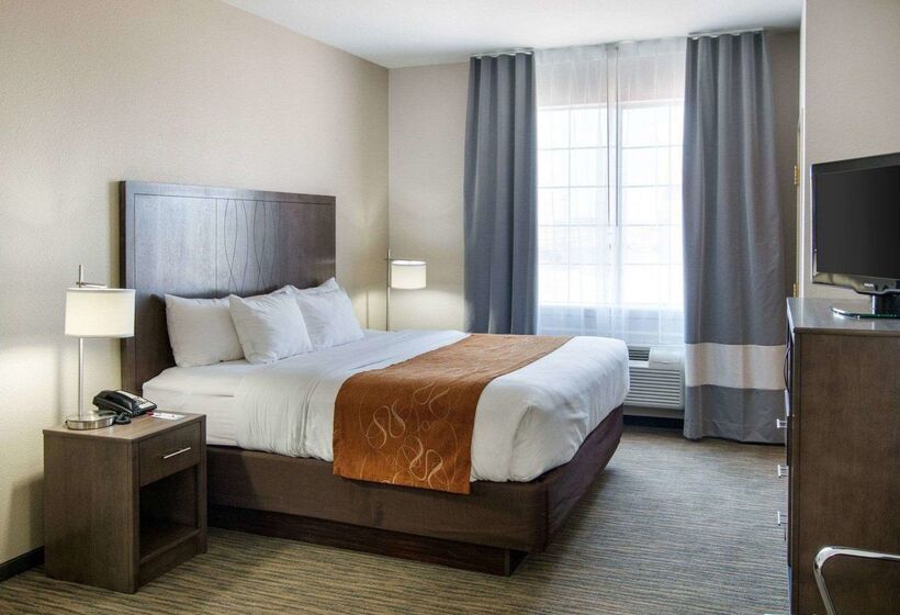 בית מלון כפרי Comfort Suites San Angelo Near University