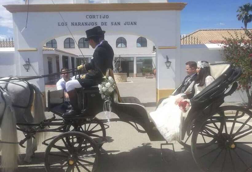 בית מלון כפרי Cortijo Los Naranjos De San Juan