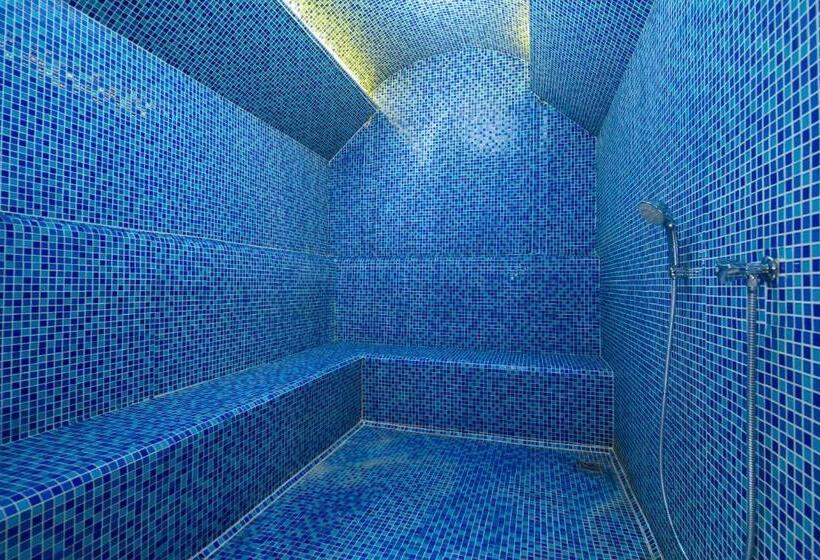 ホテル Crowne Plaza Istanbul   Old City, An Ihg