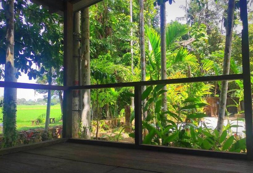 تختخواب و صبحانه S`ekar Pinang Langkawi