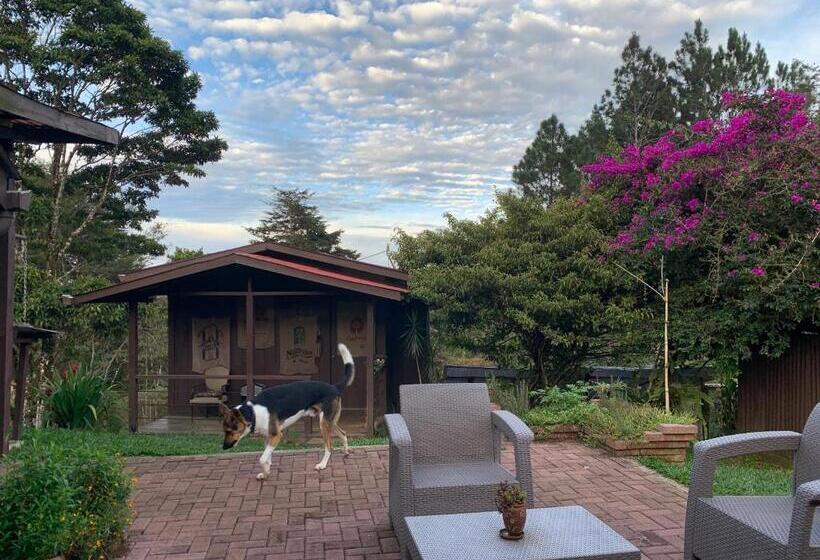 ベッドアンドブレックファースト The Lodge At Reventazon River Mountain Ranch