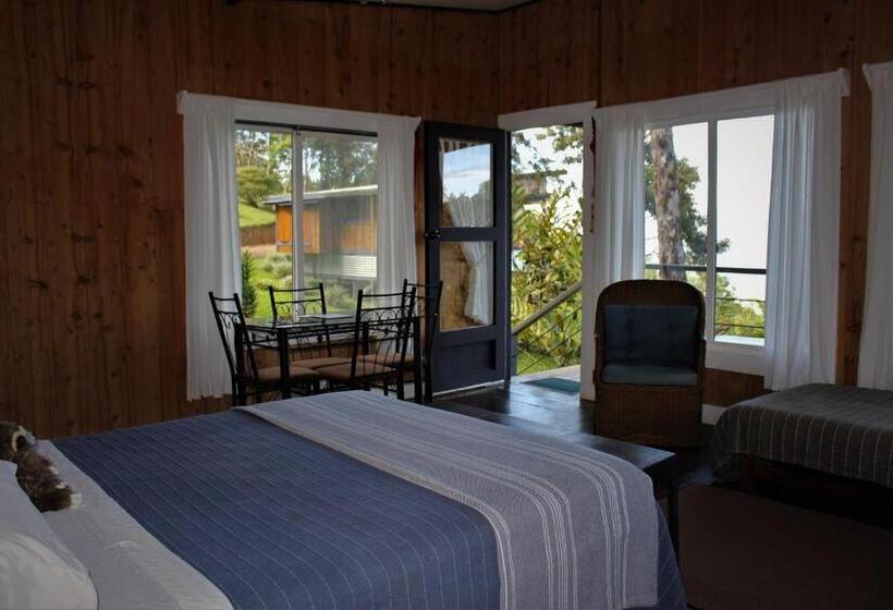 ベッドアンドブレックファースト The Lodge At Reventazon River Mountain Ranch