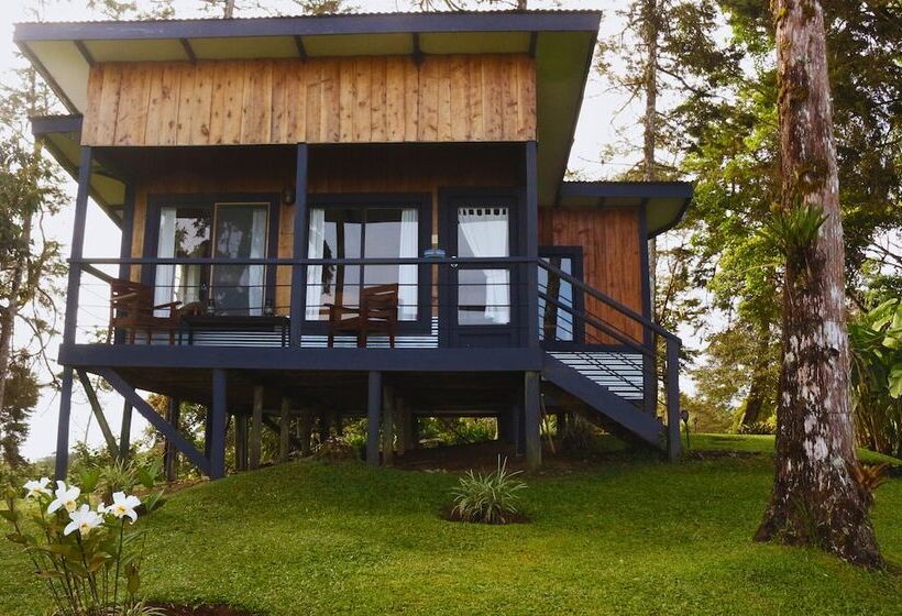 ベッドアンドブレックファースト The Lodge At Reventazon River Mountain Ranch