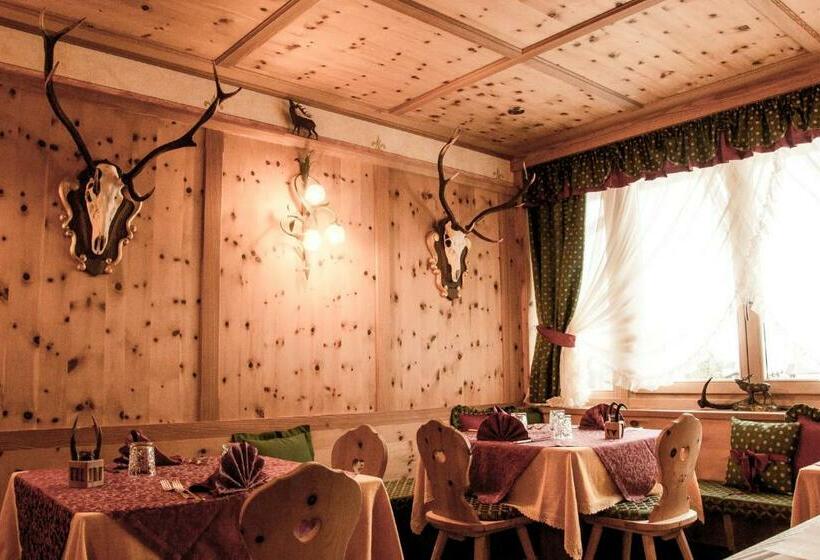 فندق Albergo Centrale