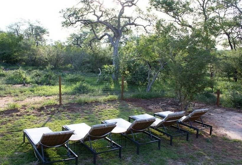 ホテル Rafiki Bush Lodge