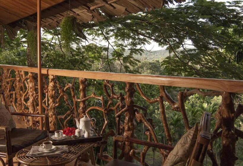 Tranquil Resort   Blusalzz Collection, Wayanad   Kerala