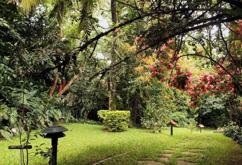 Tranquil Resort   Blusalzz Collection, Wayanad   Kerala