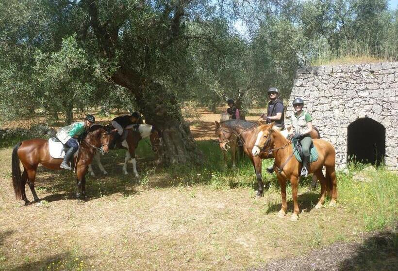 호텔 Masseria Li Campi