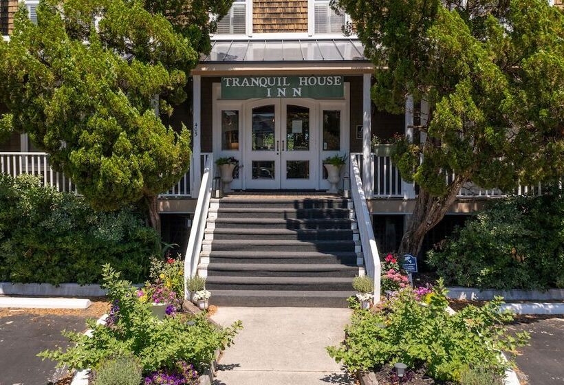 هاستل The Tranquil House Inn