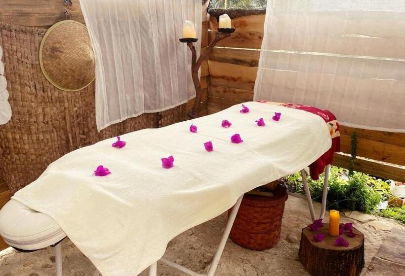 مبيت وإفطار Finca Renacer