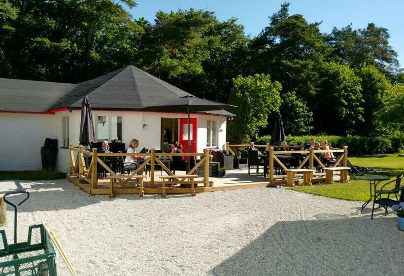 Gotland Of Sweden   Bed & Breakfast