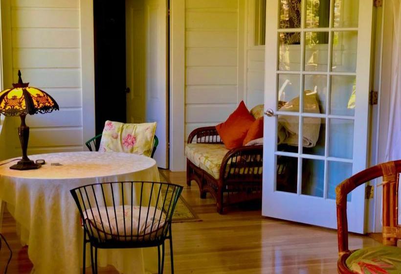 فندق Hawi Guest House