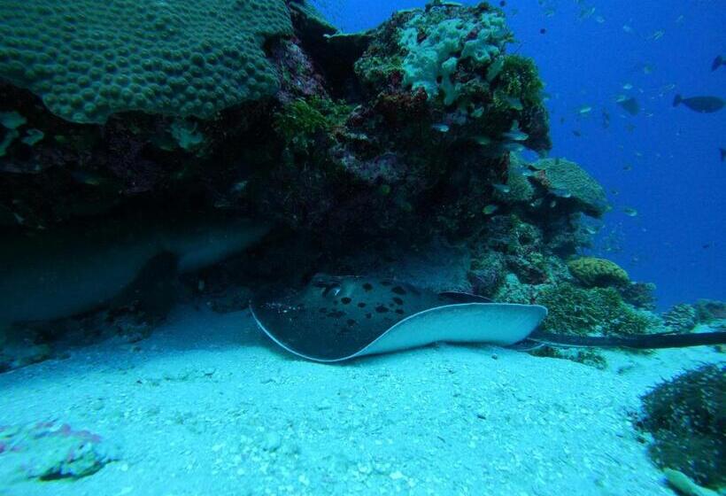 펜션 Coral Beach Maldives