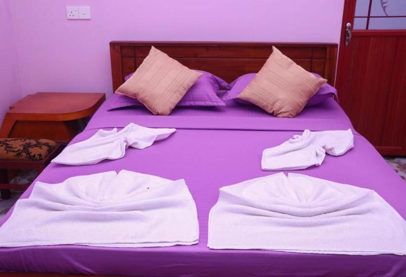 ペンション Virgin Forest Inn