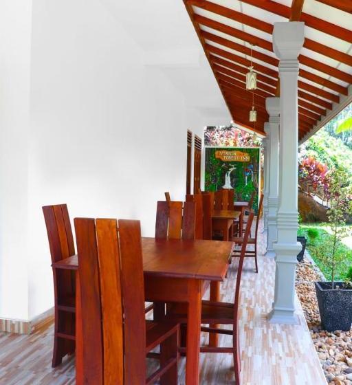 ペンション Virgin Forest Inn